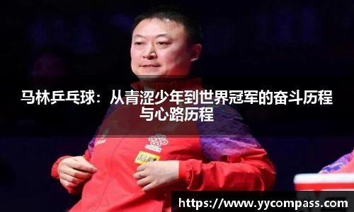 马林乒乓球：从青涩少年到世界冠军的奋斗历程与心路历程