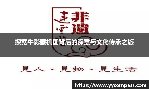 XK星空体育全站